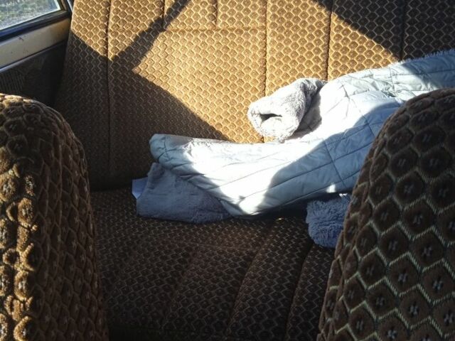 ВАЗ 2101 1974 в Черняхове на Automoto.ua Бежевый ВАЗ 2101, объемом двигателя 1.2 л и пробегом 104 тыс. км за 476 $, фото 6 на Automoto.ua