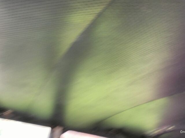 Бежевый ВАЗ 2101, объемом двигателя 0 л и пробегом 45 тыс. км за 450 $, фото 4 на Automoto.ua