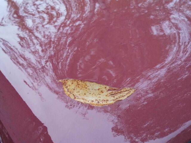 ВАЗ 2101 1972 в Шумск на Automoto.ua Красный ВАЗ 2101, объемом двигателя 1.5 л и пробегом 75 тыс. км за 262 $, фото 3 на Automoto.ua