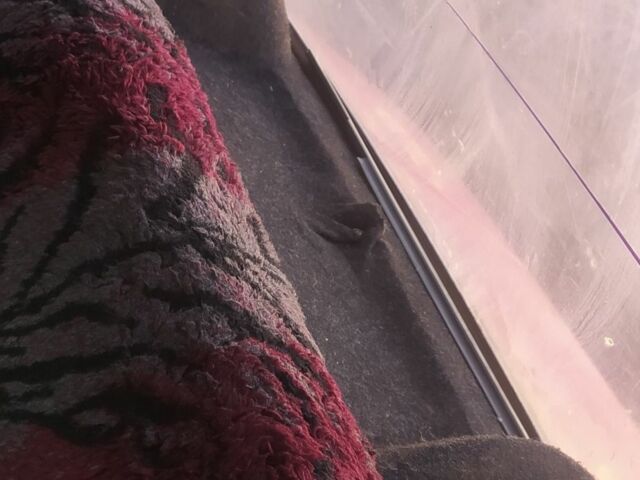 Красный ВАЗ 2101, объемом двигателя 0 л и пробегом 100 тыс. км за 473 $, фото 3 на Automoto.ua