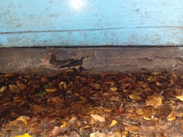 Синій ВАЗ 2101, об'ємом двигуна 1 л та пробігом 1 тис. км за 238 $, фото 5 на Automoto.ua