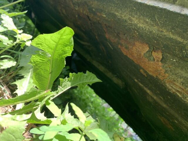 Зеленый ВАЗ 2101, объемом двигателя 1.6 л и пробегом 333 тыс. км за 182 $, фото 10 на Automoto.ua