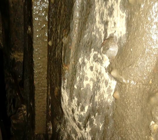 Зеленый ВАЗ 2101, объемом двигателя 1.1 л и пробегом 11 тыс. км за 600 $, фото 10 на Automoto.ua