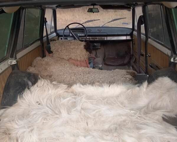 Білий ВАЗ 2102, об'ємом двигуна 1.2 л та пробігом 248 тис. км за 749 $, фото 2 на Automoto.ua