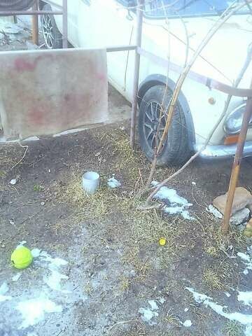 Бежевый ВАЗ 2102, объемом двигателя 1.3 л и пробегом 77 тыс. км за 680 $, фото 7 на Automoto.ua