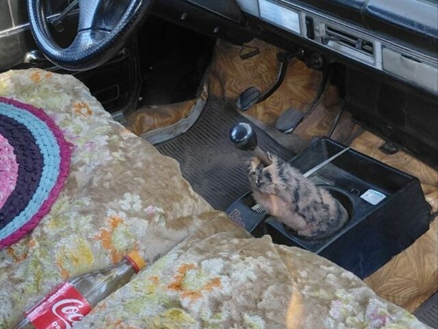 Красный ВАЗ 2102, объемом двигателя 0 л и пробегом 150 тыс. км за 700 $, фото 4 на Automoto.ua