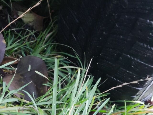 Красный ВАЗ 2102, объемом двигателя 0 л и пробегом 102 тыс. км за 414 $, фото 6 на Automoto.ua