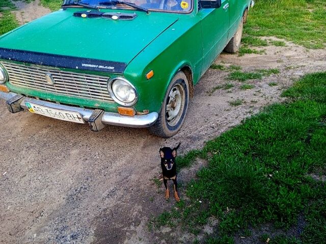 Зелений ВАЗ 2102, об'ємом двигуна 1.2 л та пробігом 111 тис. км за 600 $, фото 1 на Automoto.ua