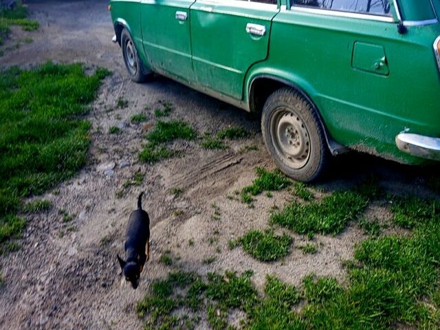 Зелений ВАЗ 2102, об'ємом двигуна 1.2 л та пробігом 111 тис. км за 600 $, фото 2 на Automoto.ua