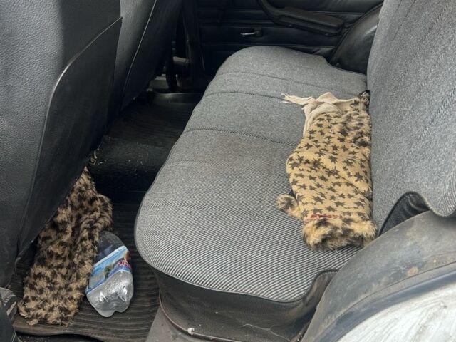 Белый ВАЗ 2104, объемом двигателя 1.5 л и пробегом 105 тыс. км за 850 $, фото 5 на Automoto.ua