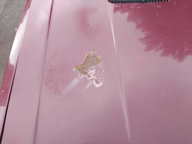 Красный ВАЗ 2104, объемом двигателя 1.5 л и пробегом 65 тыс. км за 950 $, фото 5 на Automoto.ua