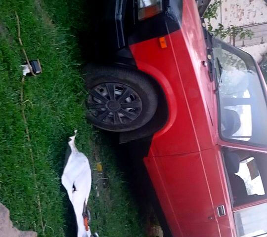Красный ВАЗ 2105, объемом двигателя 1.5 л и пробегом 0 тыс. км за 670 $, фото 1 на Automoto.ua