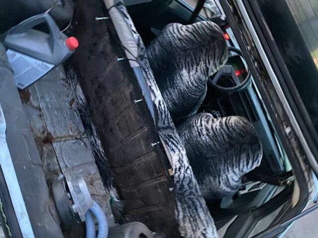 Білий ВАЗ 2106, об'ємом двигуна 0 л та пробігом 567 тис. км за 571 $, фото 3 на Automoto.ua