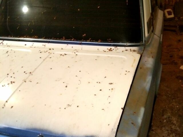 Білий ВАЗ 2106, об'ємом двигуна 1.6 л та пробігом 0 тис. км за 500 $, фото 2 на Automoto.ua