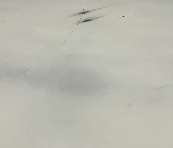 Белый ВАЗ 2106, объемом двигателя 0 л и пробегом 54 тыс. км за 1500 $, фото 13 на Automoto.ua