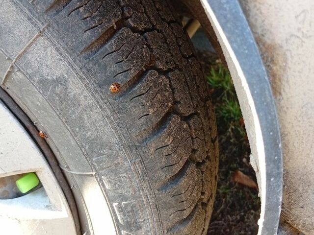 Бежевий ВАЗ 2106, об'ємом двигуна 1.3 л та пробігом 40 тис. км за 477 $, фото 4 на Automoto.ua