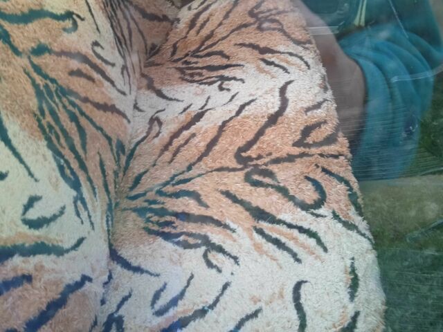 Бежевый ВАЗ 2106, объемом двигателя 1.3 л и пробегом 2 тыс. км за 300 $, фото 4 на Automoto.ua