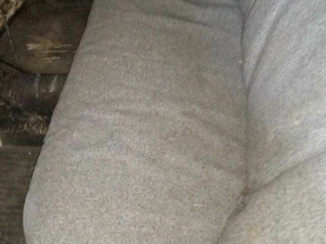 ВАЗ 2106 1988 в Днепре (Днепропетровске) на Automoto.ua Бежевый ВАЗ 2106, объемом двигателя 1.3 л и пробегом 300 тыс. км за 499 $, фото 11 на Automoto.ua