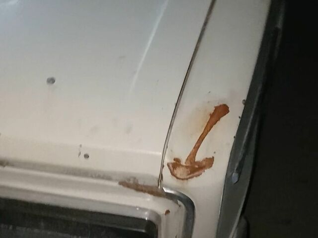 ВАЗ 2106 1997 в Коростышеве на Automoto.ua Бежевый ВАЗ 2106, объемом двигателя 1.6 л и пробегом 46 тыс. км за 450 $, фото 1 на Automoto.ua