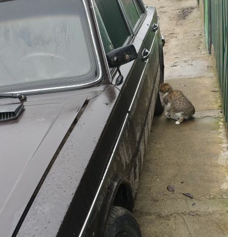 Коричневий ВАЗ 2106, об'ємом двигуна 1.3 л та пробігом 1 тис. км за 237 $, фото 3 на Automoto.ua