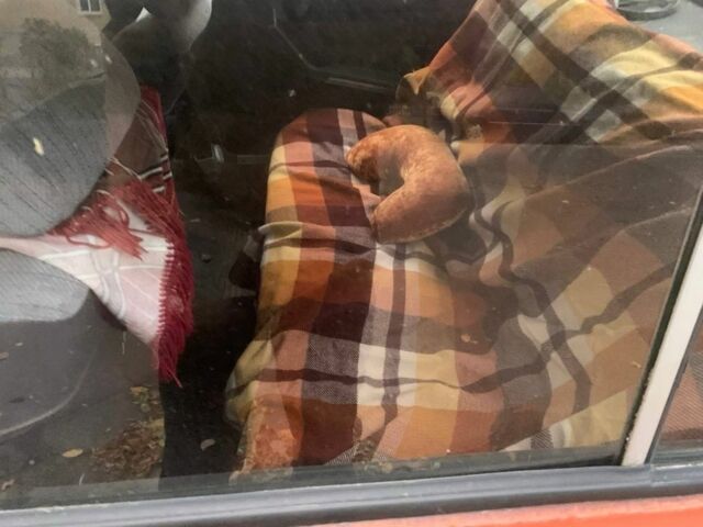 Красный ВАЗ 2106, объемом двигателя 1.3 л и пробегом 180 тыс. км за 238 $, фото 4 на Automoto.ua