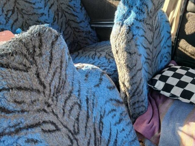 Красный ВАЗ 2106, объемом двигателя 0 л и пробегом 17 тыс. км за 370 $, фото 6 на Automoto.ua