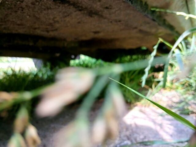 Жовтий ВАЗ 2106, об'ємом двигуна 1.6 л та пробігом 180 тис. км за 550 $, фото 11 на Automoto.ua