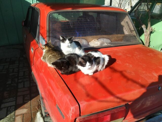 Красный ВАЗ 2107, объемом двигателя 1.5 л и пробегом 176 тыс. км за 350 $, фото 5 на Automoto.ua