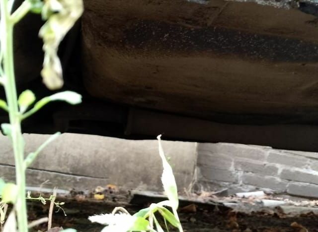 Белый ВАЗ 2108, объемом двигателя 1.3 л и пробегом 56 тыс. км за 477 $, фото 5 на Automoto.ua