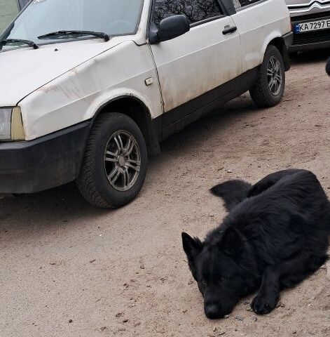 Белый ВАЗ 2108, объемом двигателя 1 л и пробегом 200 тыс. км за 720 $, фото 3 на Automoto.ua