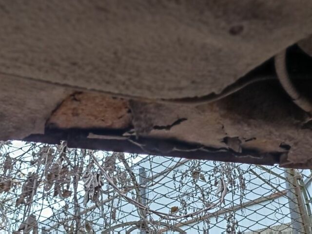 Синій ВАЗ 2108, об'ємом двигуна 1 л та пробігом 1 тис. км за 700 $, фото 3 на Automoto.ua