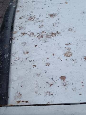 Білий ВАЗ 2109, об'ємом двигуна 1.29 л та пробігом 300 тис. км за 750 $, фото 18 на Automoto.ua