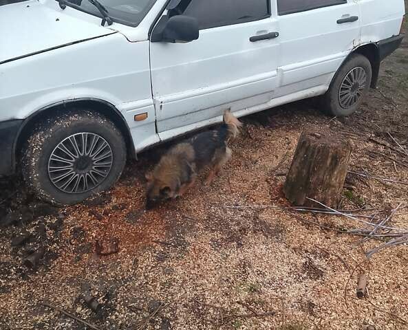 Білий ВАЗ 2109, об'ємом двигуна 1.1 л та пробігом 200 тис. км за 550 $, фото 1 на Automoto.ua