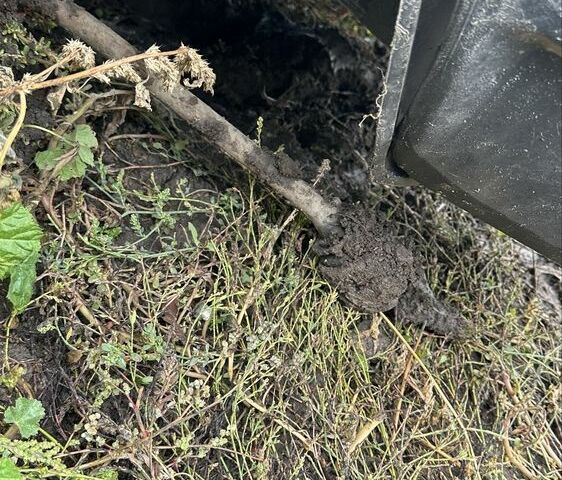 Білий ВАЗ 2109, об'ємом двигуна 1.5 л та пробігом 140 тис. км за 450 $, фото 1 на Automoto.ua