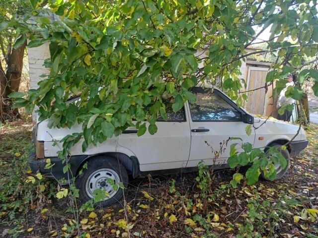 Бежевый ВАЗ 2109, объемом двигателя 1.5 л и пробегом 3 тыс. км за 1304 $, фото 6 на Automoto.ua