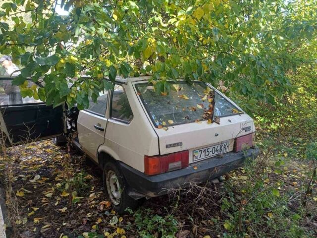 Бежевый ВАЗ 2109, объемом двигателя 1.5 л и пробегом 3 тыс. км за 1304 $, фото 2 на Automoto.ua