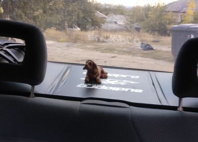 Чорний ВАЗ 2109, об'ємом двигуна 1.6 л та пробігом 209 тис. км за 1450 $, фото 4 на Automoto.ua