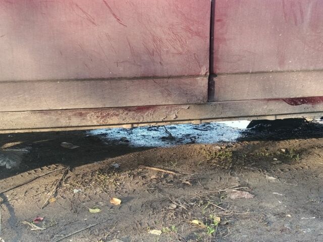 Червоний ВАЗ 2109, об'ємом двигуна 1.3 л та пробігом 5 тис. км за 591 $, фото 2 на Automoto.ua