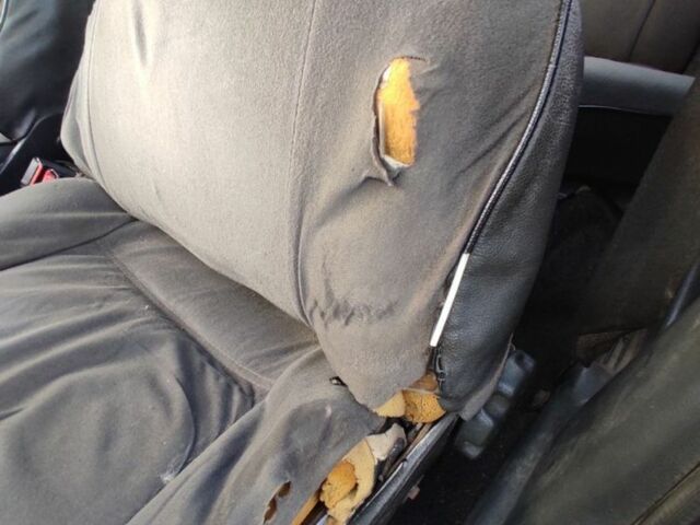 Красный ВАЗ 2109, объемом двигателя 1.5 л и пробегом 3 тыс. км за 832 $, фото 7 на Automoto.ua