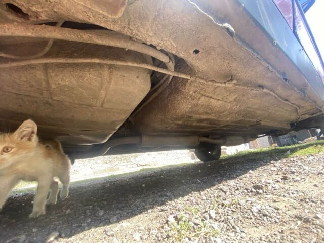 Красный ВАЗ 2109, объемом двигателя 1.5 л и пробегом 250 тыс. км за 1428 $, фото 7 на Automoto.ua