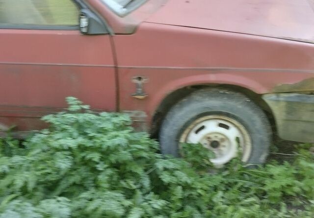 Червоний ВАЗ 2109, об'ємом двигуна 1 л та пробігом 121 тис. км за 191 $, фото 1 на Automoto.ua