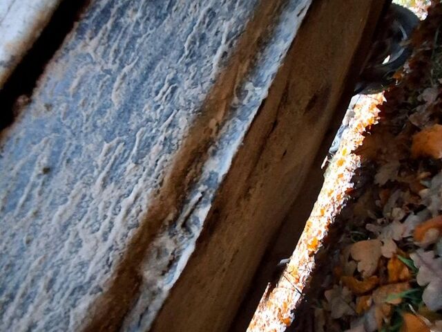 ВАЗ 2109, объемом двигателя 1.3 л и пробегом 0 тыс. км за 750 $, фото 5 на Automoto.ua