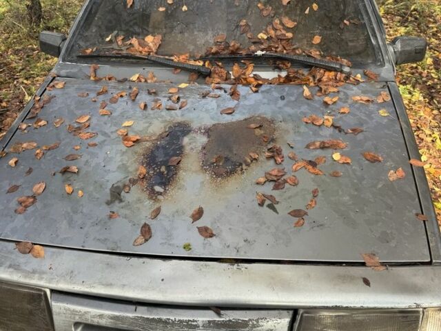 Серый ВАЗ 2109, объемом двигателя 1.3 л и пробегом 3 тыс. км за 239 $, фото 1 на Automoto.ua