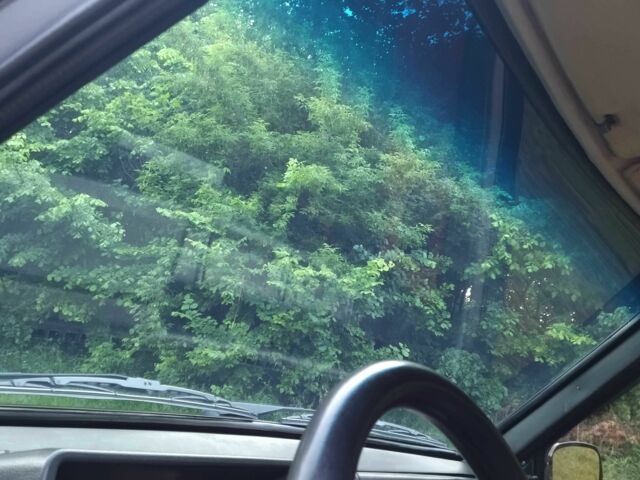 Серый ВАЗ 2109, объемом двигателя 1.5 л и пробегом 970 тыс. км за 999 $, фото 9 на Automoto.ua