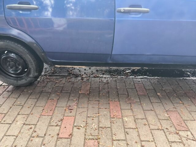 Синій ВАЗ 2109, об'ємом двигуна 5 л та пробігом 250 тис. км за 970 $, фото 2 на Automoto.ua