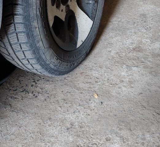 Синий ВАЗ 2109, объемом двигателя 1.5 л и пробегом 25 тыс. км за 480 $, фото 1 на Automoto.ua