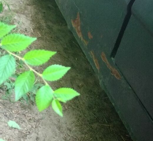 ВАЗ 2109 2004 в Днепре (Днепропетровске) на Automoto.ua Зеленый ВАЗ 2109, объемом двигателя 1.5 л и пробегом 164 тыс. км за 1435 $, фото 4 на Automoto.ua