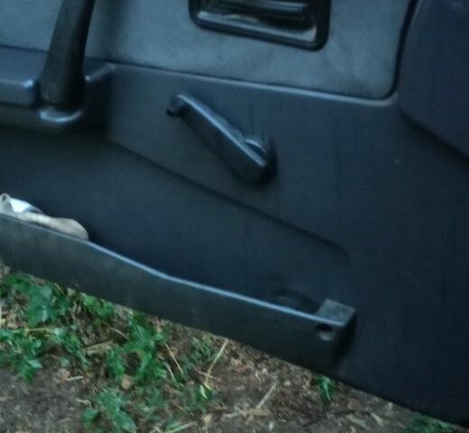 ВАЗ 2109 2004 в Днепре (Днепропетровске) на Automoto.ua Зеленый ВАЗ 2109, объемом двигателя 1.5 л и пробегом 164 тыс. км за 1435 $, фото 7 на Automoto.ua