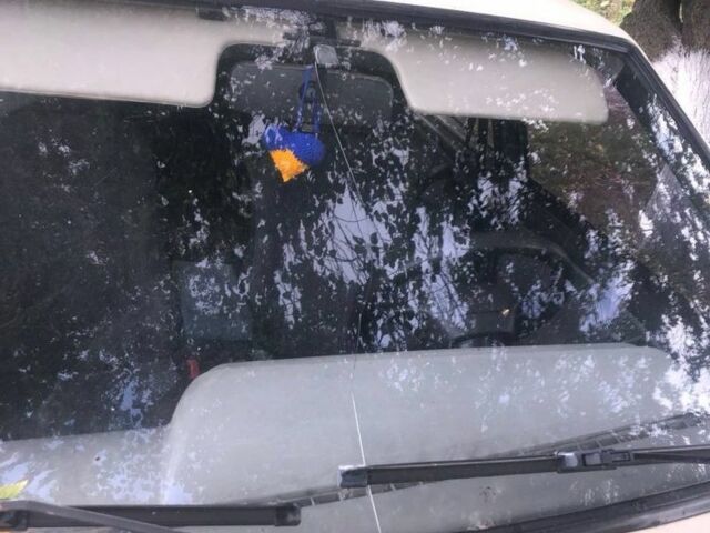 Бежевий ВАЗ 21099, об'ємом двигуна 1.6 л та пробігом 270 тис. км за 1100 $, фото 3 на Automoto.ua