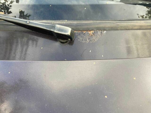 Коричневый ВАЗ 21099, объемом двигателя 1.5 л и пробегом 3 тыс. км за 568 $, фото 10 на Automoto.ua